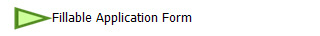 Fillable Application Form